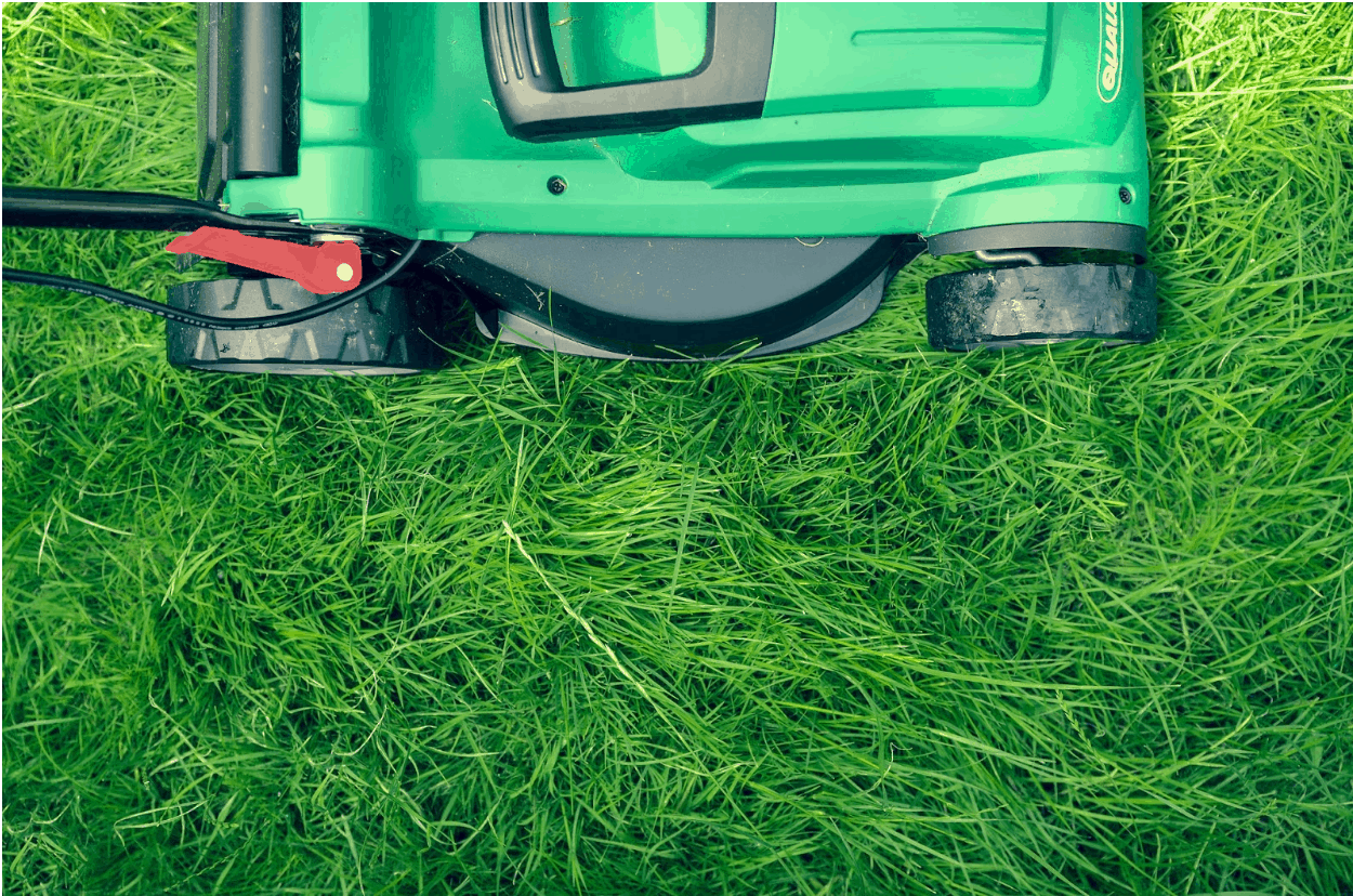 Lawnmower, long green greaa