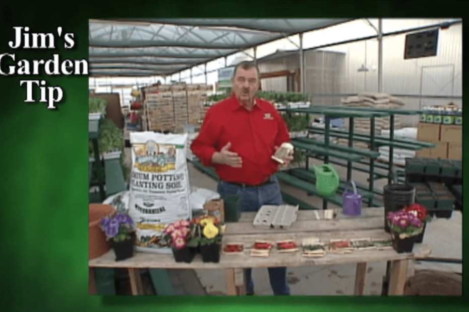 Gardening Tips 2 How to Start Seeds Indoors and Transplant to Garden