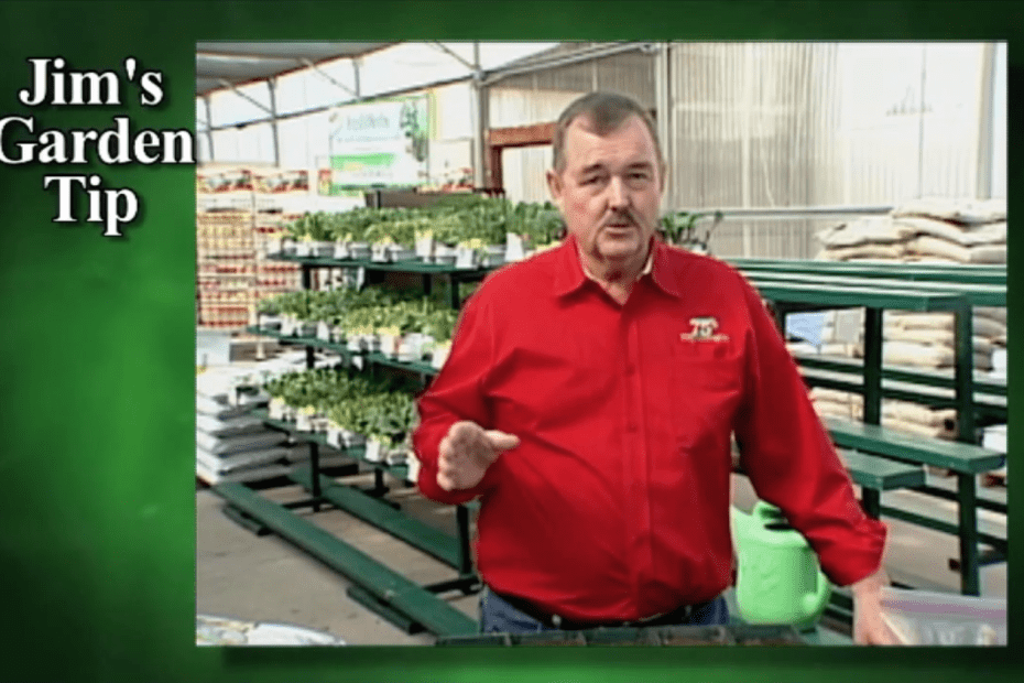 Gardening Tips 3 - How to transplant seedlings into larger pots