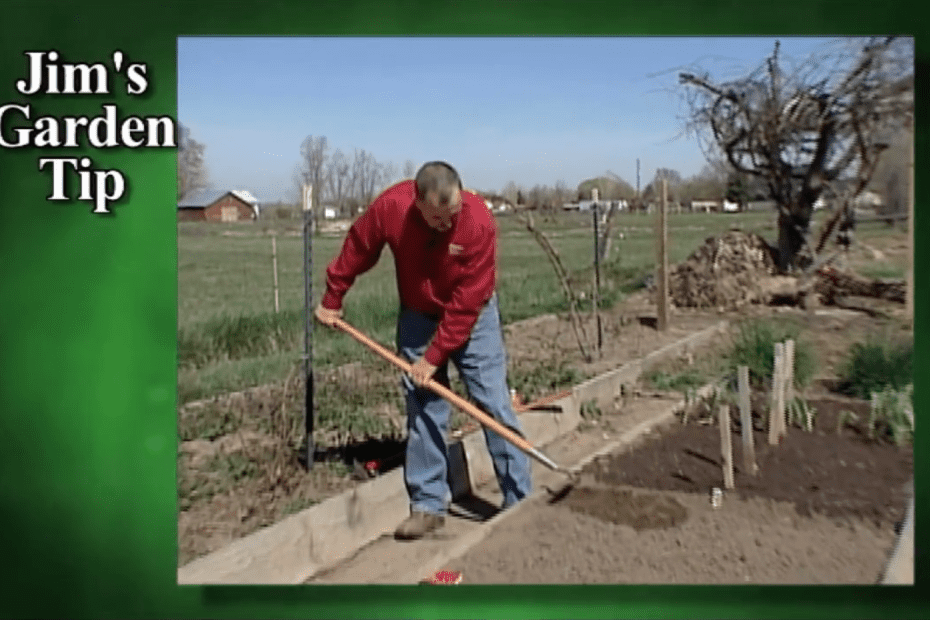 Gardening Tips 9 - How To Plant Root Crops and Salad Greens