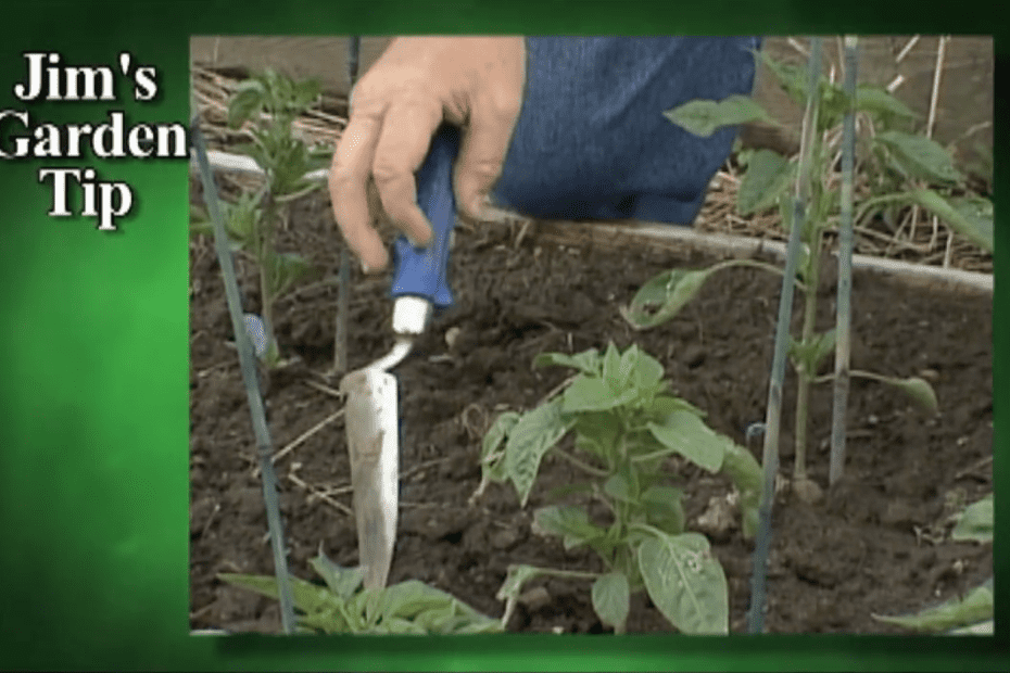 Gardening Tips 19 - Summer Maintenance: Weeding, Cultivating, Thinning, Spoon Feeding