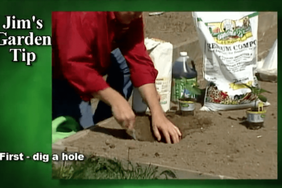 Gardening Tips - How to plant peppers and zucchini