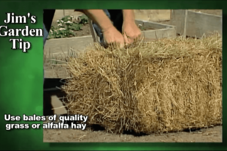 Gardening Tips 13 – How To Mulch Garden To Retain Moisture and Prevent Weeds