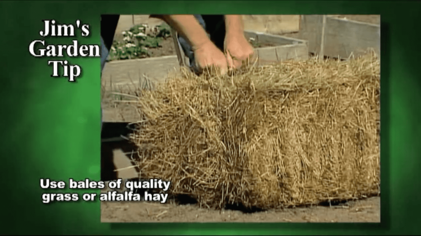 Gardening Tips 13 How To Mulch Garden To Retain Moisture and Prevent