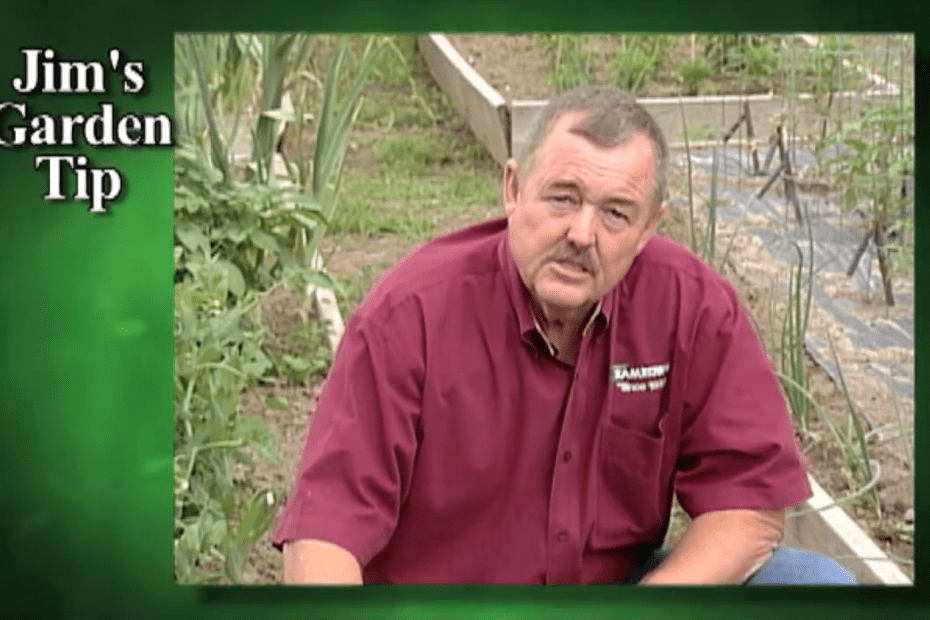 Gardening Tips 15 – How To Control Insects In Your Garden (Healthy Soil)