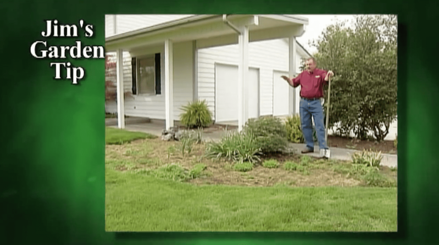 Gardening Tips 16 How To Transform An Old Flower Bed Into A Green Lawn Dr JimZ Blog