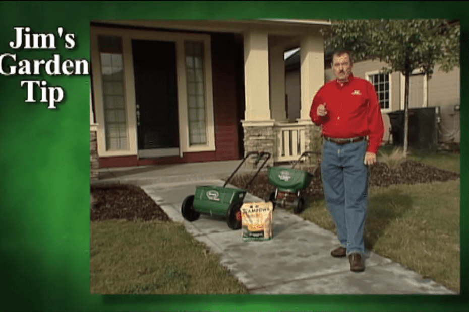 How to fix a neglected lawn [nutrients and weeds]