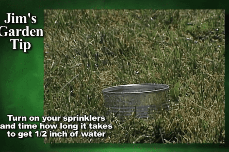 How To Best Water A Lawn