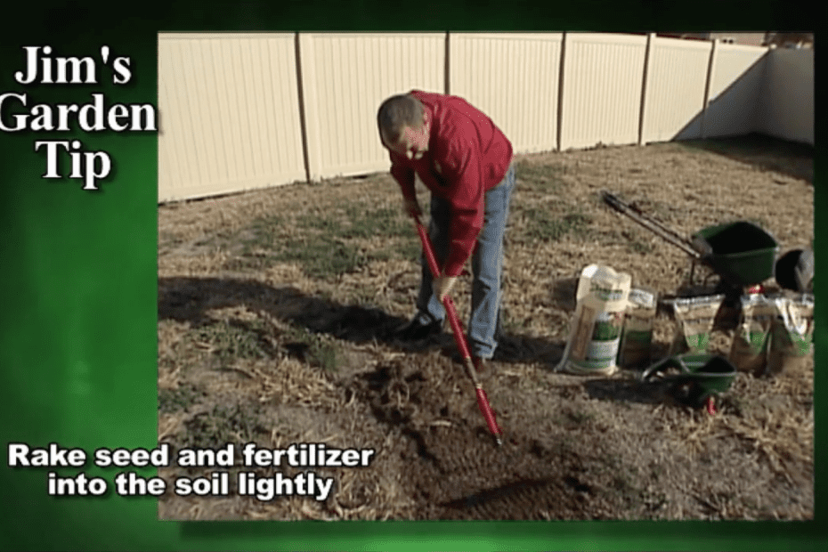 How to repair or reseed lawn