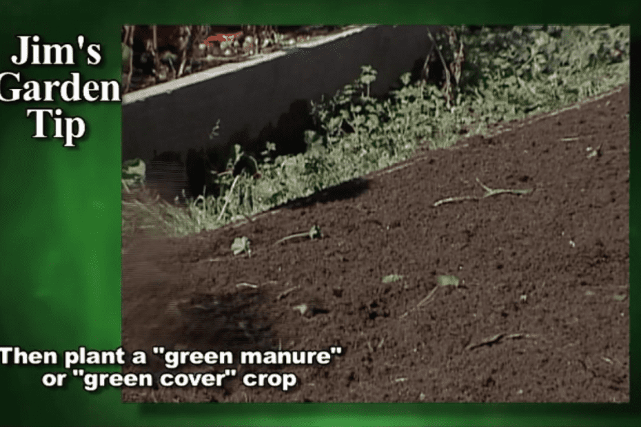 How To Prepare Garden For Next Year With Cover Cop